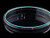 35mm Cell Culture Dish Gripping Ring TC Sterile 20 pk 500 cs Replacement