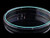 Glass Bottom Cell Culture Dish diameter 20mm TC sterile 10 pk 200 cs Replacement
