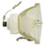 L600-0398510 BARE LAMP ONLY