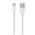 APPLE LIGHTENING USB CHARGING