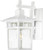 COVE NECK 1 LIGHT 14 INCH OUTDOOR LANTERN WITH CLEAR SEED GLASS WHITE / GLASS TRADITIONAL