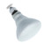 AMPS: 0.500 - BASE: E26 MEDIUM SCREW, 1-INCH DIAMETER  (E27) - BULBFINISH: LIGHT FROST - BULBSHAPE: BR30 - LIFE: 5000 - LUMENS: 770 - MOLIN: 5.40 - VOLTS: 130 - WATTS: 65