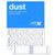 20X25X1DUST?ßFILTER2PACK
