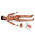 AED LF04121 Replacement Medical Training Manikin Emergency Simulator