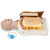 Replacement for LF03686 (for AED) and others