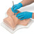 AED LF00994 Medical Training Manikin Replacement Part