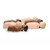 Replacement Medical Supplies for Laerdal Little Anne Combo 6-Pack - Training Manikins