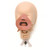 Head cpl ALS Baby SEBS