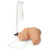 Enema Simulator