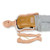 Axel Medium Skin Tone Medical Supply Storage Container Replacement