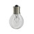 LIGHT BULB / LAMP 309