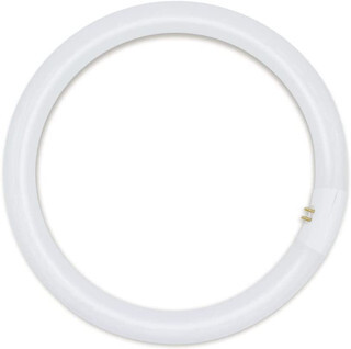 Circular