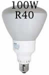 100 Watt R40 Flood Light Bulb