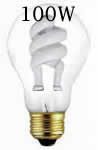 100 Watt Compact Fluorescent Bulb