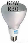 60 Watt R30 Flood Light Bulb