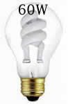 60 Watt Compact Fluorescent Bulb