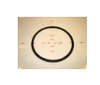 531A0205H01 - Cover Gasket, 8'
