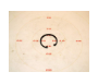 111Q0452524 - Ring Retaining Truarc