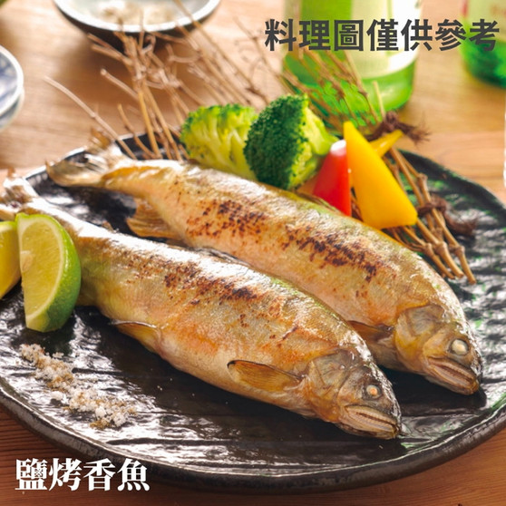 Whitebait - Ayu Female w/ Fish Roe 湧泉抱卵母香魚(四條)