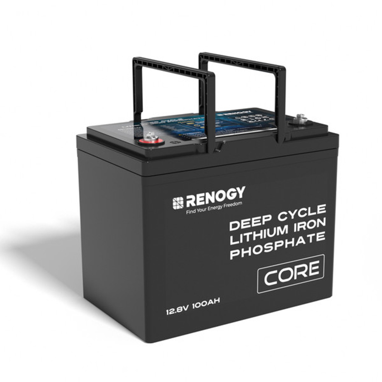 Renogy 12-Volt 100AH LiFePO4 Deep Cycle Lithium Battery Over 4000 Cycles,  BMS, Backup Power for RV Marine, Maintenance-Free RBT100LFP12S-G1 - The  Home Depot