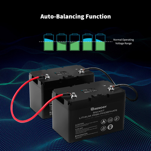 GoKWh 12V 100Ah LiFePO4 Battery Built-in Smart Bluetooth