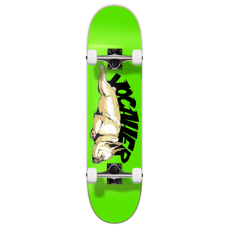 Yocaher Graphic Complete 7.75" Skateboard  - Lazy French Bulldog