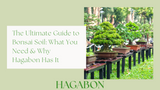 The Complete Guide to Bonsai Soil: Choosing the Right Mix for Healthy Growth