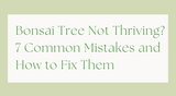Bonsai Tree Not Thriving? 7 Common Mistakes and How to Fix Them