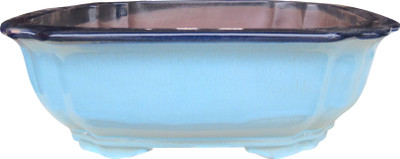 Front view of 19-inch square bonsai pot with light green glaze and dark blue flared lip