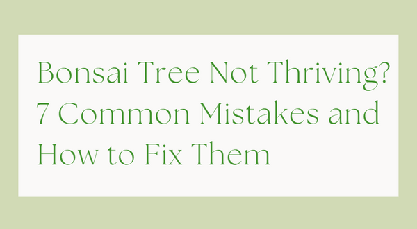 Bonsai Tree Not Thriving? 7 Common Mistakes and How to Fix Them