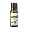 Eucalyptus Globulus Essential Oil