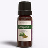 Organic Oregano Essential Oil