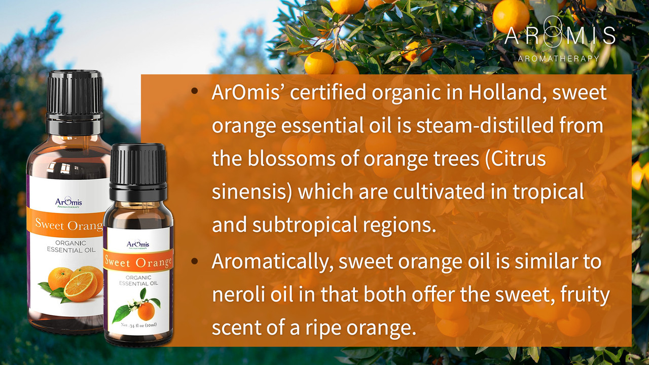 Insight Into The Multiple Uses Of Orange Essential Oil - Organic Aromas®