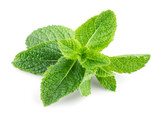 Peppermint Essential Oil Peppermint Essential Oil
