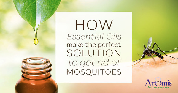 How Essential Oils Make the Perfect Solution to Get Rid of Mosquitoes