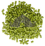 Styrian Gold Hop Pellets (2022)