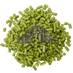 Talus Hop Pellets (2022)