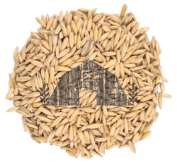 Oat Malt