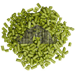 East Kent Golding (U.K.) Hop Pellets (2023)