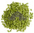 Citra Hop Pellets (2023)