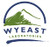 Wyeast 2565 - Kölsch Yeast
