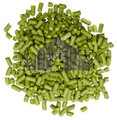 Pacifica Hop Pellets (2022)