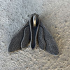 mothman pendant - reverse
