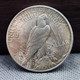 REPLICA 1935 Peace Skull Hobo Coin reverse