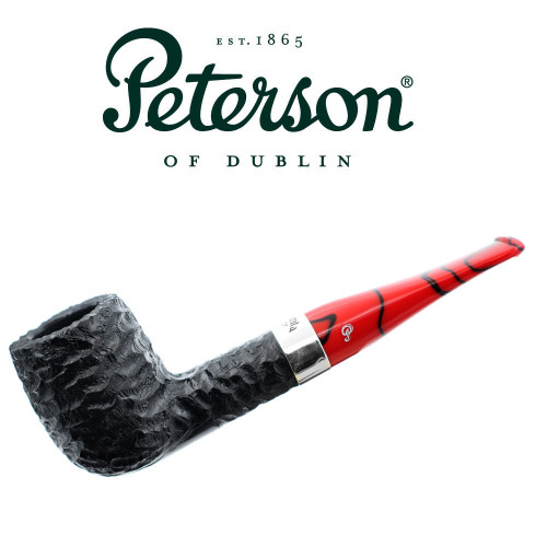 Peterson - Dracula Rusticated X105 - Pipe