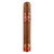 Partagas - Cedros - Year of the Snake - Single Cigar