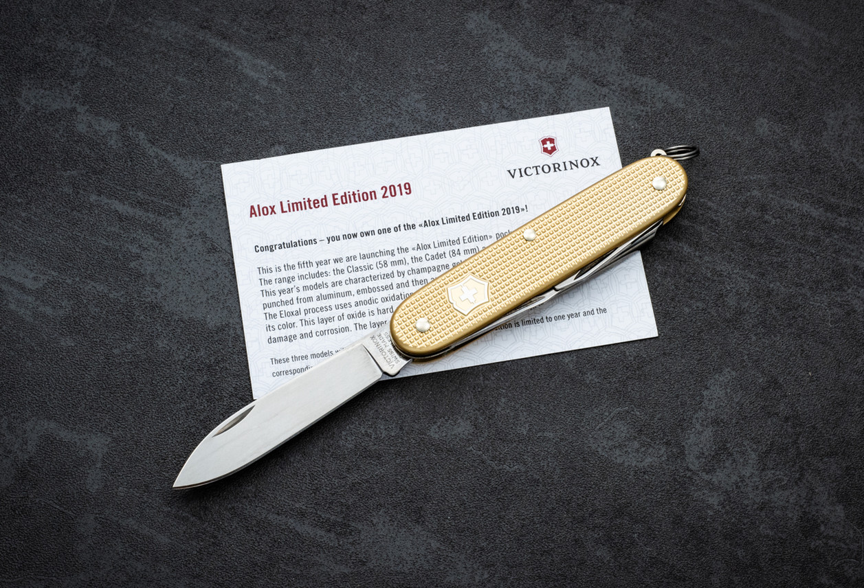 SAK LE 2019 Pioneer