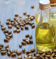 CASTOR OIL uses, characteristics and Sourcing