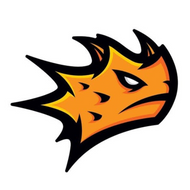 MAXTRAX recovery boards logo