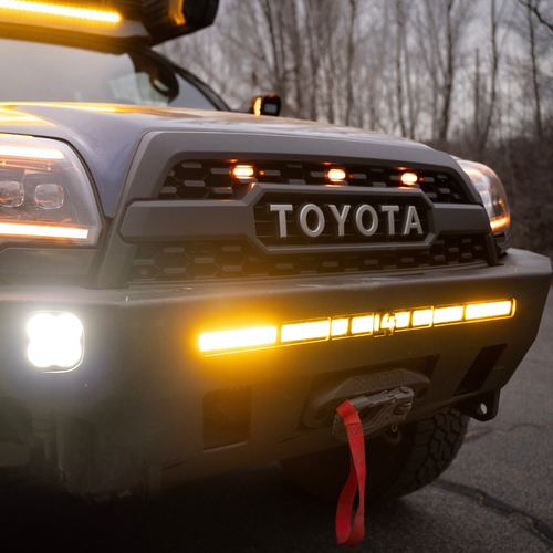 2006 4R Customs Grille With LED Emblem